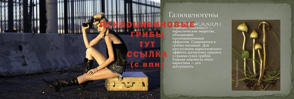 сатива Абдулино