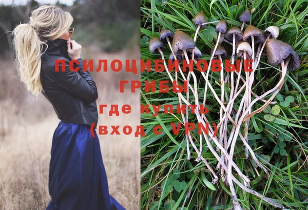 COCAINE Гусиноозёрск