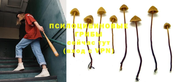 дживик Абинск
