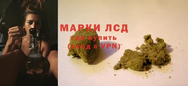 spice Алзамай