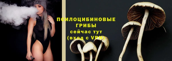 spice Алзамай