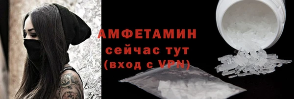 прущие грибы Иннополис