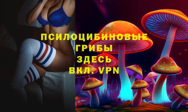 дживик Абаза