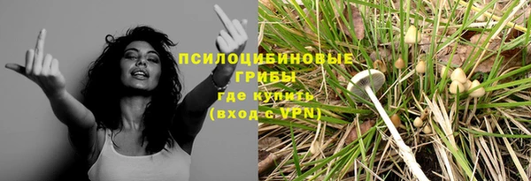 шишки Вязники