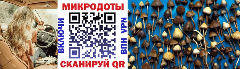 Псилоцибиновые грибы прущие грибы Ядрин